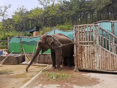 -大连森林动物园