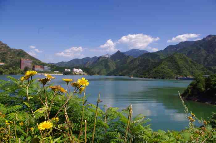 遥桥峪水库-"防洪 灌溉 发电 旅游 以."-大众点评移动版