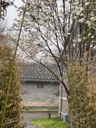 -北京郡王府饭店·宴会厅