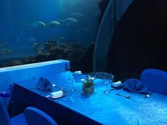 -海棠湾洲际-涛·海底餐厅·美人鱼·自助餐·海底隧道
