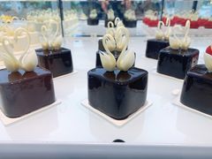 -BLACKSWAN黑天鹅(环球店)