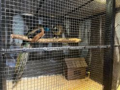 -酷嗒动物文化乐园(cutezoo西溪乐天城店)