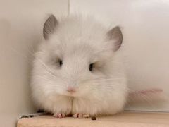 -龙猫仔乐园(惠福东路店)