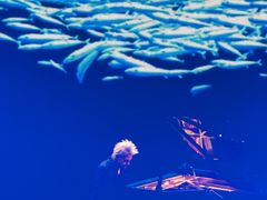 -交通银行前滩31演艺中心