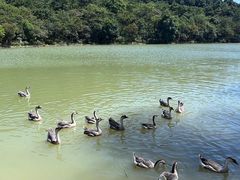 -广州白江湖森林公园