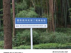 -瑶琳仙境