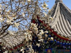 -西安市广仁寺