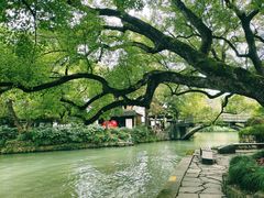 -西溪国家湿地公园