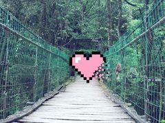 -西岭雪山大飞水景区