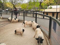 -石家庄市动物园