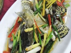 -柘林湖生态鱼馆