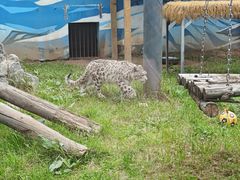 -青藏高原野生动物园