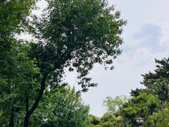 -元大都城垣遗址公园