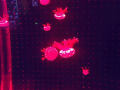 -多彩贵州城极地海洋世界