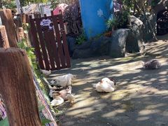 -欢乐水魔方水世界