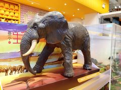 -KKV(深圳宏发大仟里店)