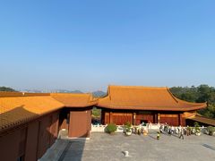 -深圳仙湖植物园