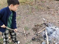 -顾村公园3号门停车场