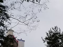 -塔云山