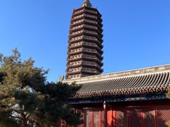 -西海子公园