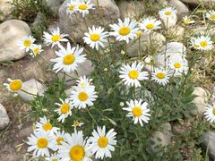 -汉长安城未央宫国家考古遗址公园