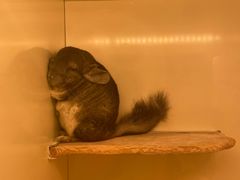 -龙猫仔乐园(惠福东路店)