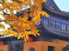 -圆通寺