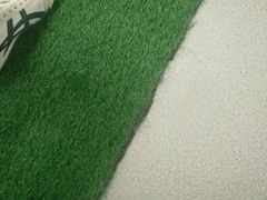 -墨尔本皇家植物园