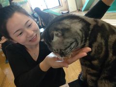 -萌喵咖啡屋(人民东路4号口M16商铺店)