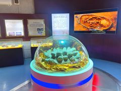-诸城市恐龙博物馆