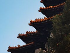 -东华门大街小区