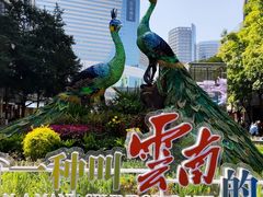 -南屏步行街