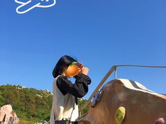 -广东惠东海龟国家级自然保护区