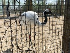 -盐城丹顶鹤湿地生态旅游区