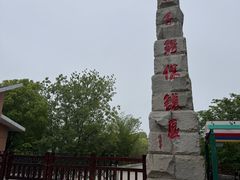 -中国扬子鳄村