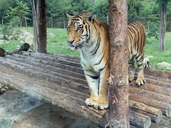 -西安秦岭野生动物园