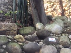 -三江森林温泉度假区