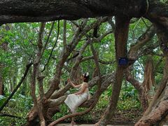 -中国科学院西双版纳热带植物园