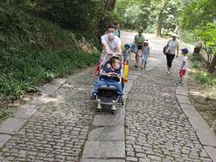 -紫霞湖公园