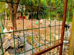 -呼吸森林·生态农庄农家乐私房菜