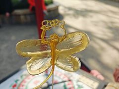 -南湖梦幻岛