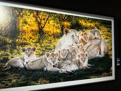 -罗红摄影艺术馆