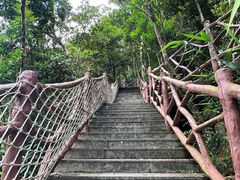 -海南热带雨林国家公园吊罗山景区