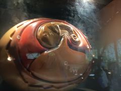 -湖南省地质博物馆