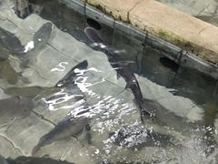 -水磨农庄
