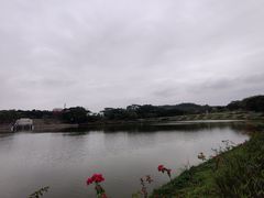 -东莞植物园
