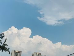 -桂溪生态公园