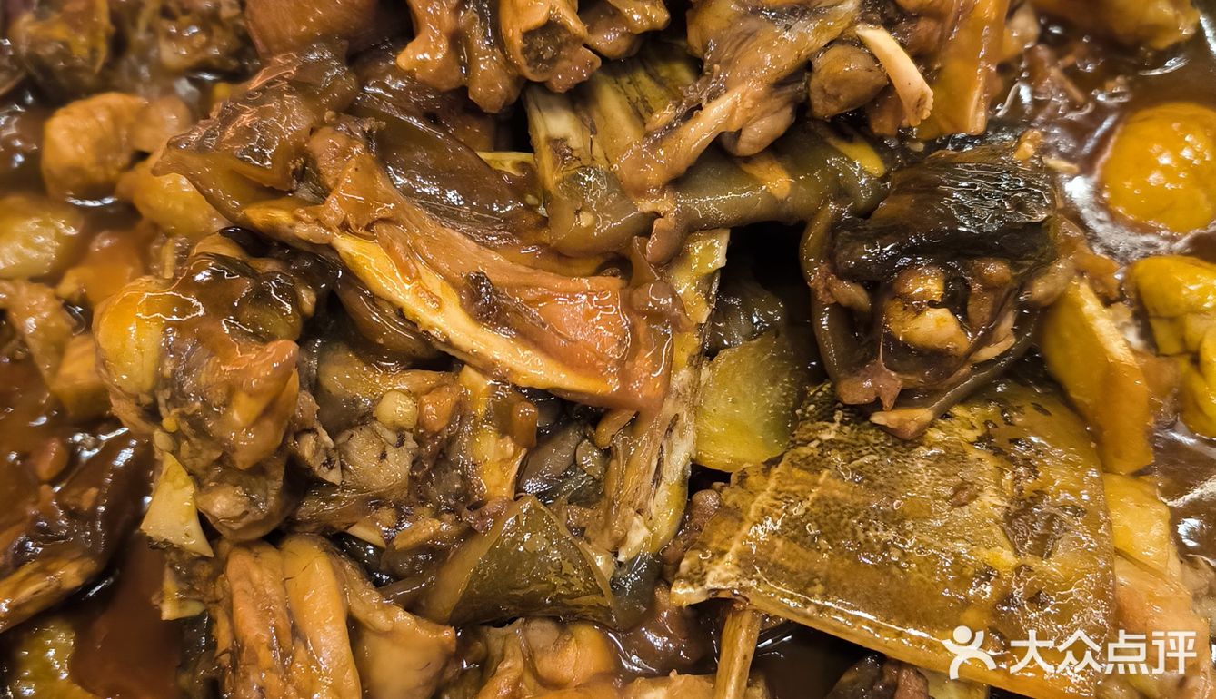 秋冬进补必不可少的食材‼️甲鱼