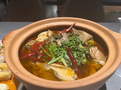 -宏宴·新京菜(望京店)