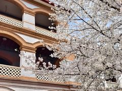 -华东政法大学(松江校区)